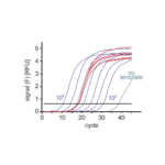 SYBR Green Master Mix PCR