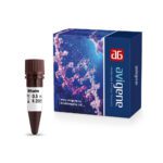 DNA safe staining dye