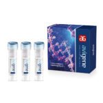 Taq DNA Polymerase - 3