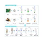 Plant DNA Extraction Kit