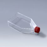 Tissue Treated Flask Seal Cap-FDCELL-175cm