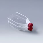 Tissue Treated Flask + Vent Cap -175cm²