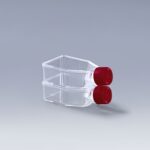 Tissue Treated Flask + Vent Cap -25cm²