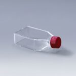 75cm² Tissue Treated Surface Flask + Seal Cap