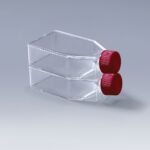 75cm² TC treated flask + vent cap