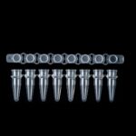 8 Tubes Strip - 0.2 ML