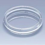 Cell Culture Dish