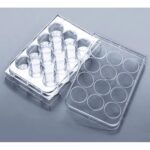 Cell Culture Plate