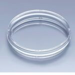 Cell Culture Dish - 150 mm