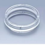 Cell Culture Dish